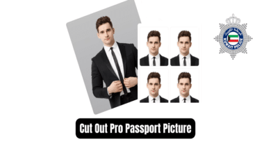 cutout pro download