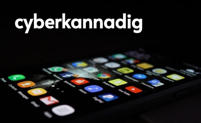 cyberkannadig com