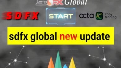 what is sdfx global